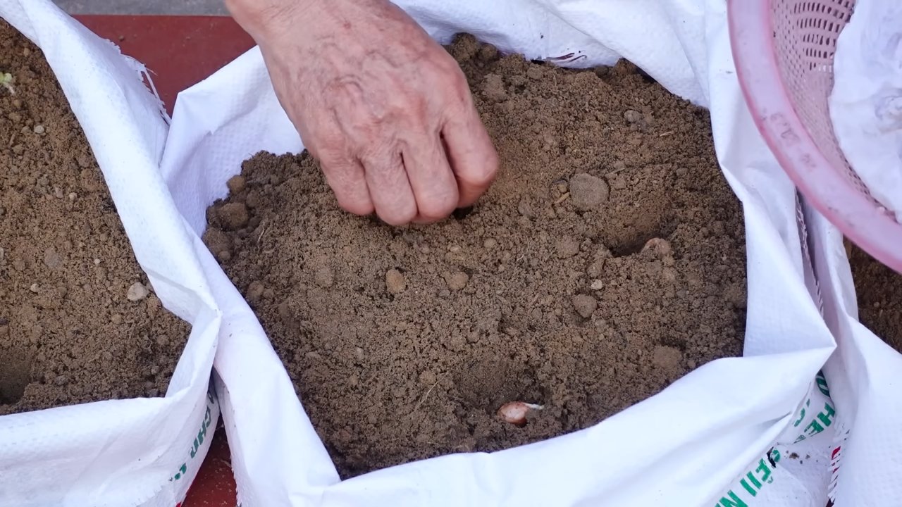 Foam box peanut gardening