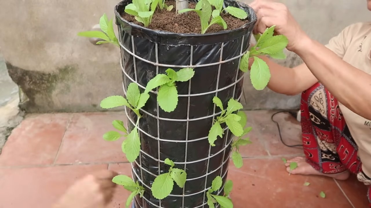 DIY Vertical Garden Self Watering