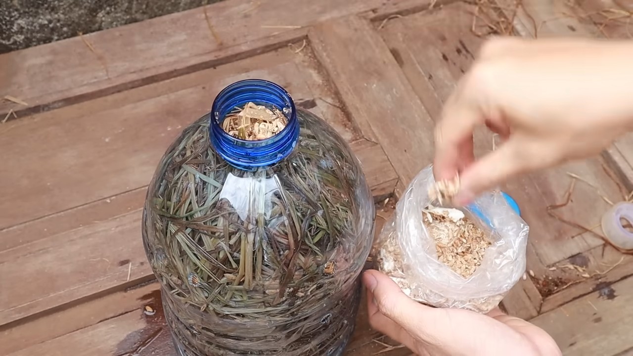 Mushroom Bottle Farming Guide