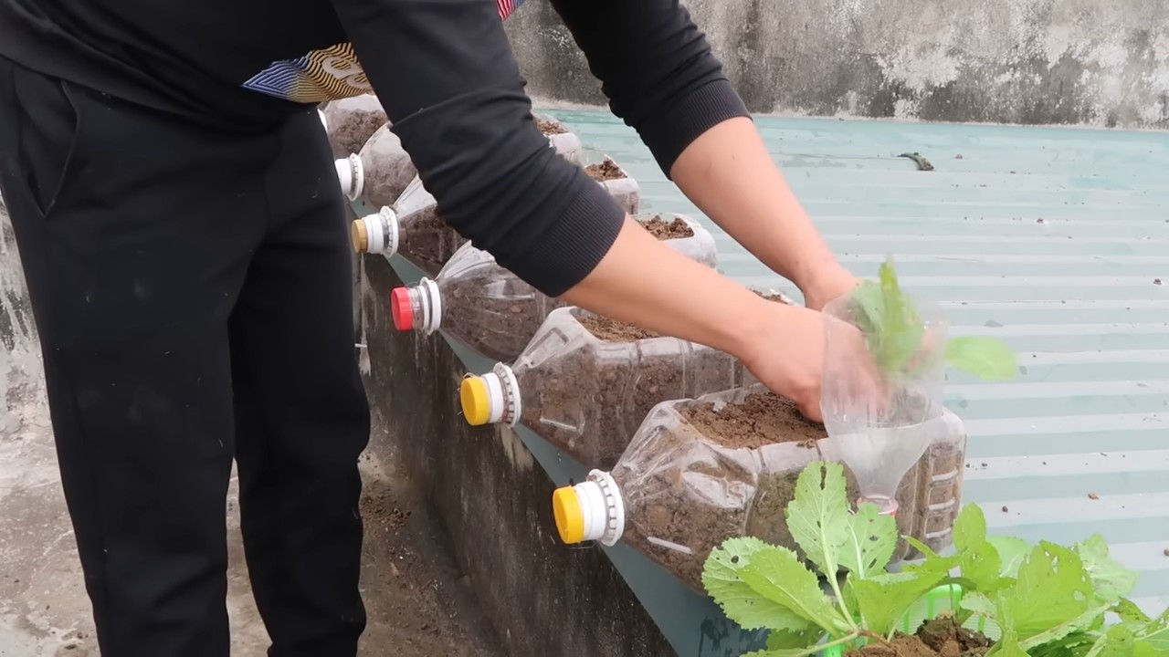 Fresh vegetable storage hacks