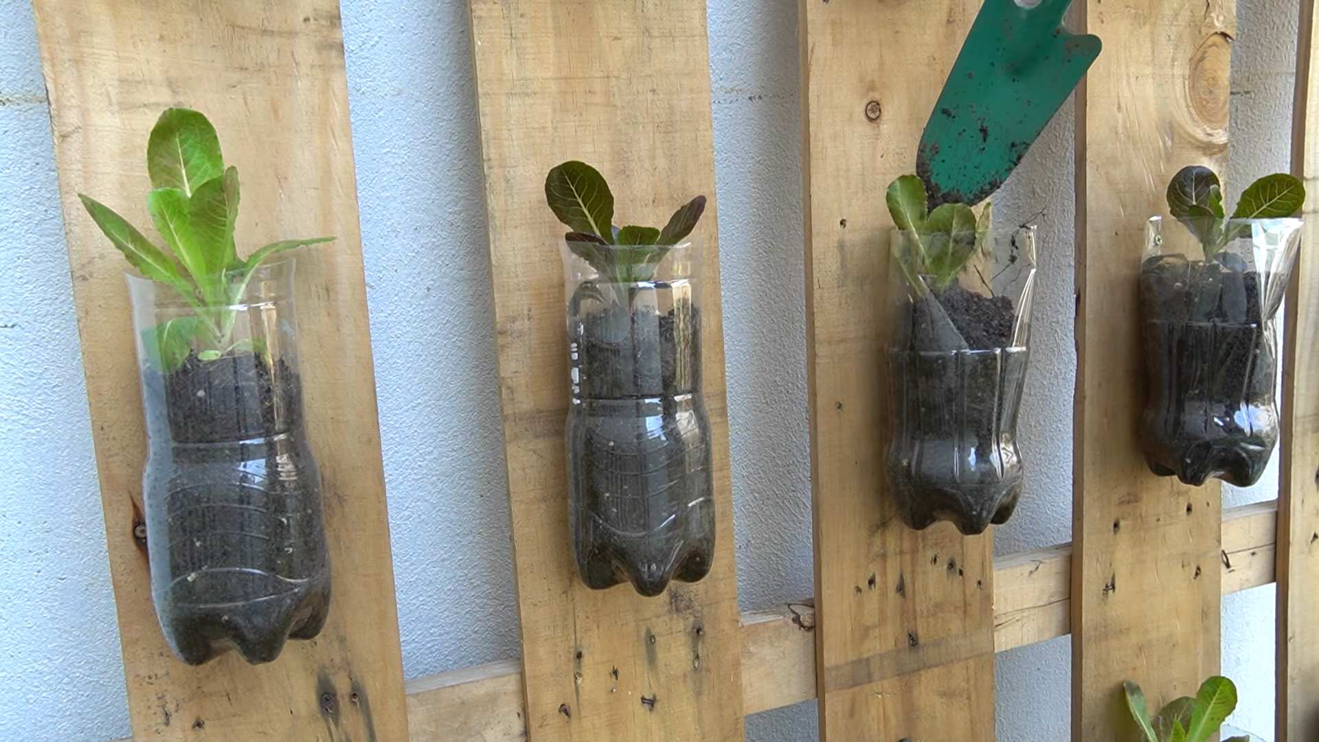 DIY vegetable garden from trash