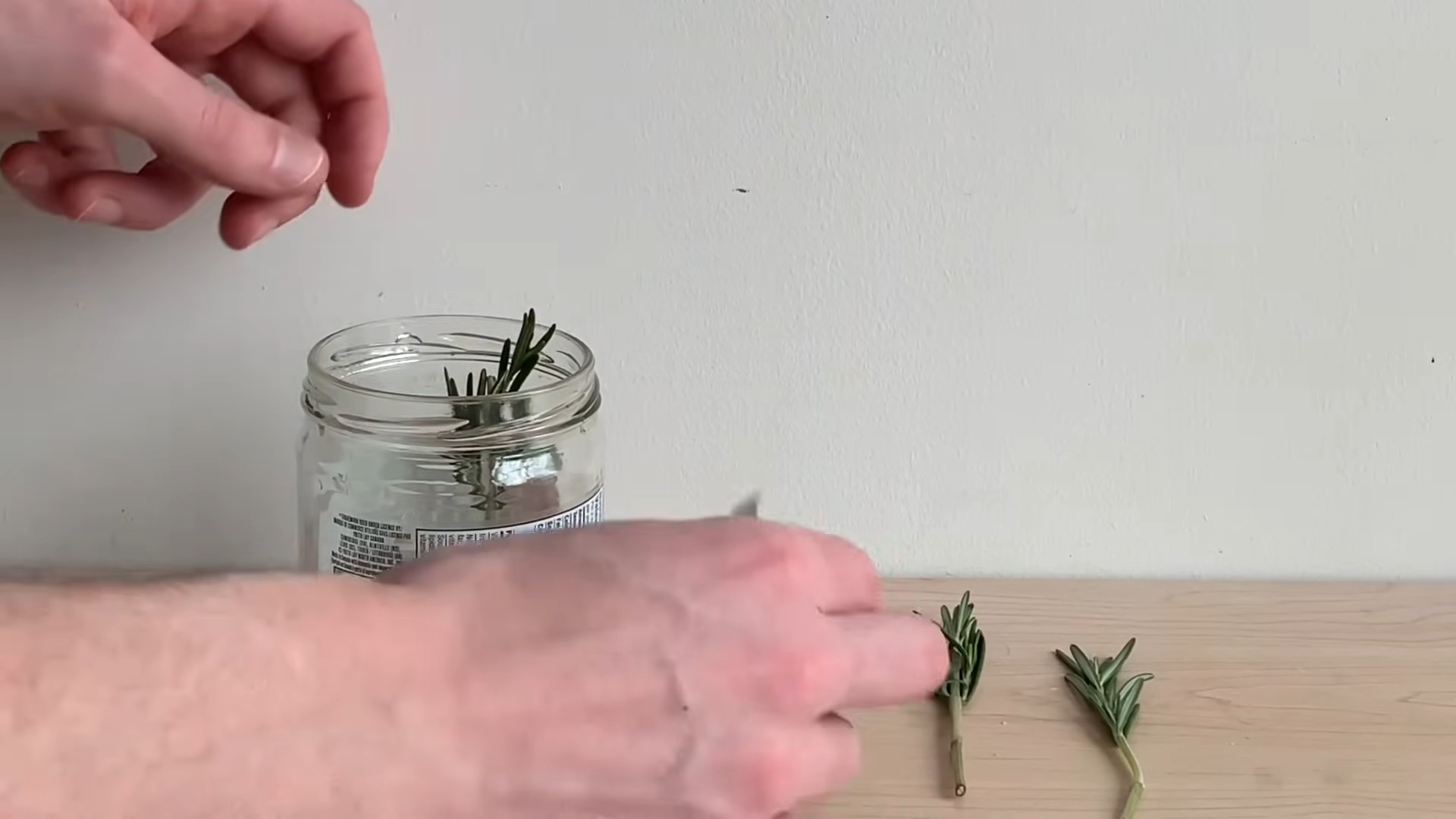Hydroponic Rosemary Indoor Growing