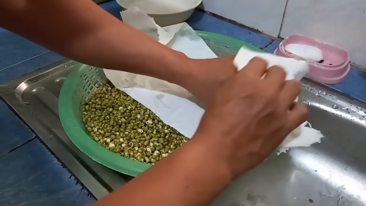 Grow Mung Bean Sprouts
