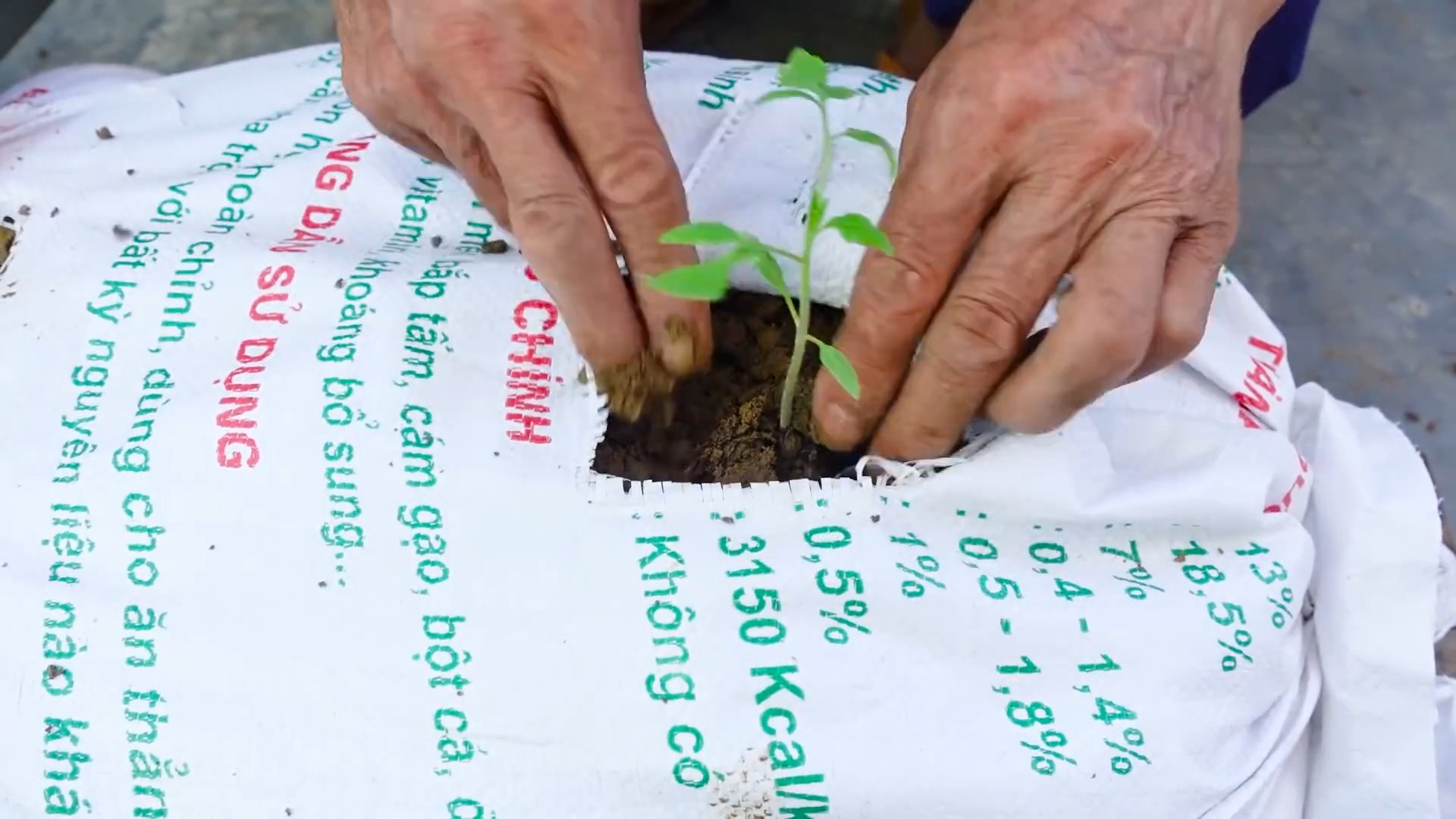Easy Tomato Patch DIY